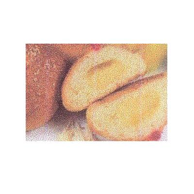 Roti Susu Keju LARIZO Gambar 1
