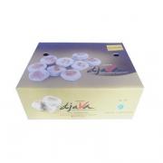 Bakpia DJAVA Rasa Blueberry Isi 12